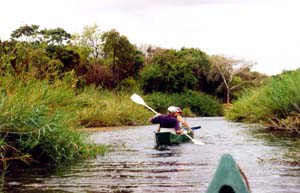 paddling the mazowe river