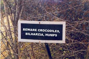 Beware crocodiles, bilharzia, humps